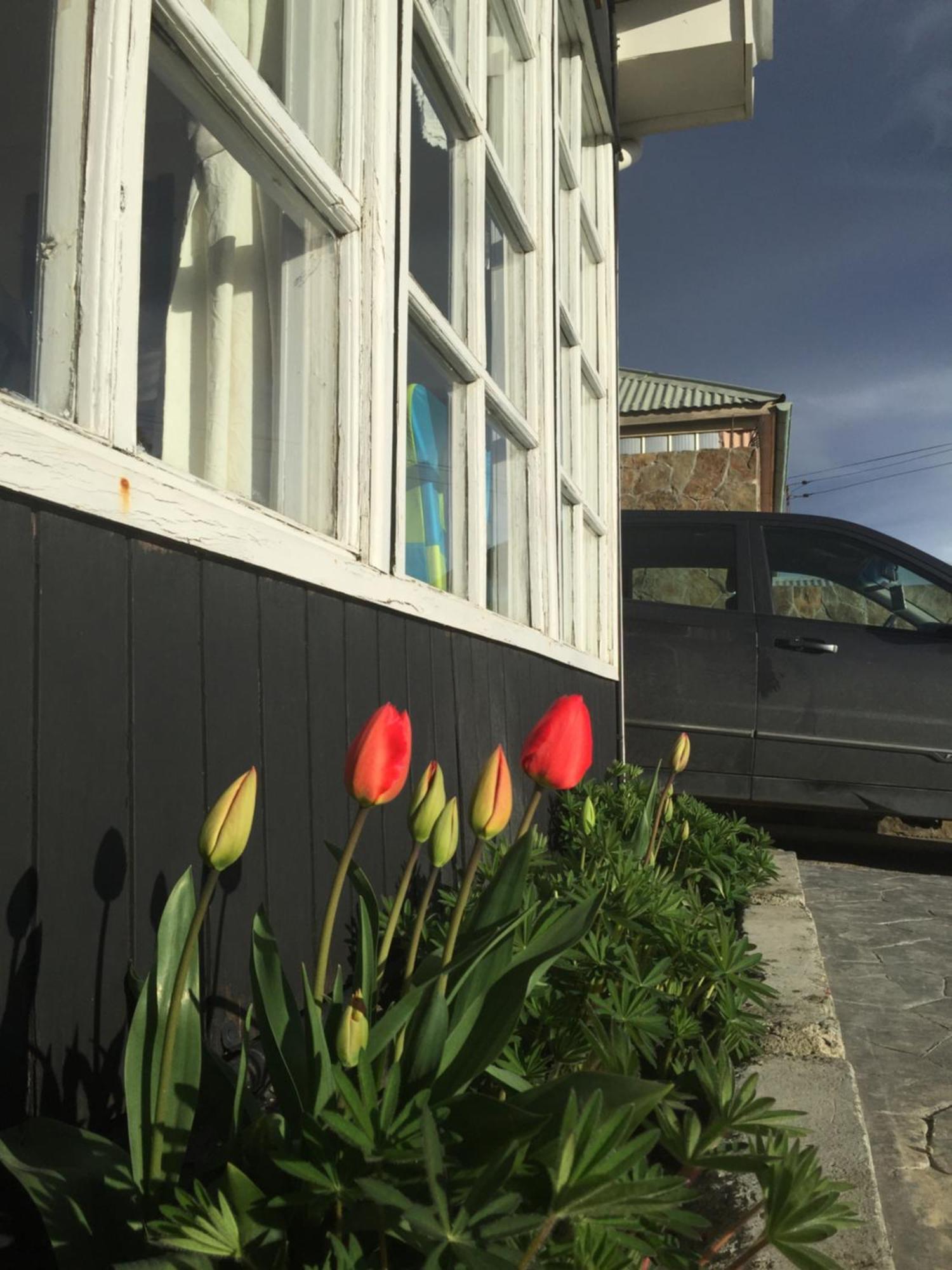 Big Bang Patagonia - Traveler Assistance Puerto Natales Exterior foto